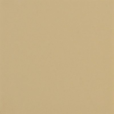 Sal Olive 15x15 Blank