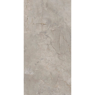 Arceto Argento 60x120 Blank