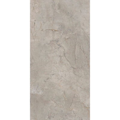 Arceto Argento 60x120 Mat