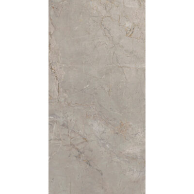 Arceto Argento 60x120 Mat