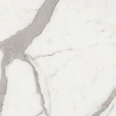 Arceto Calacatta 120x120 Blank