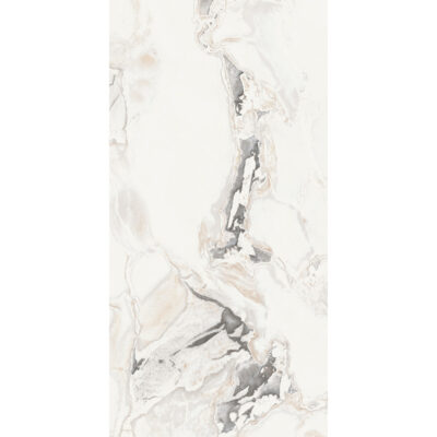 Arceto Osso 60x120 Blank Arceto Osso 60x120 Blank