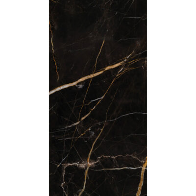 Arceto Scuro 60x120 Blank Arceto Scuro 60x120 Blank