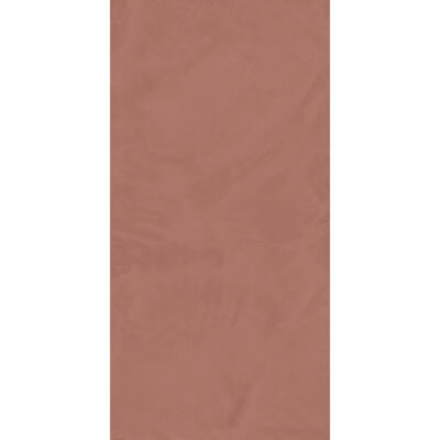 Carini Terra 60x120 Mat