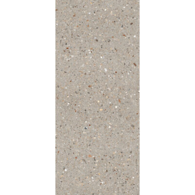 Noha Grigio 120x278 Mat