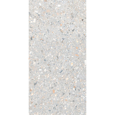 Noha Grigio Chiaro 60x120 Mat