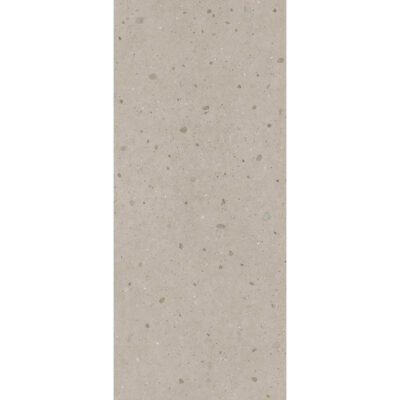 Pompei Argento 120x278 Mat