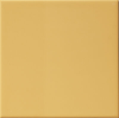 Sal Mostaza 15x15 Blank