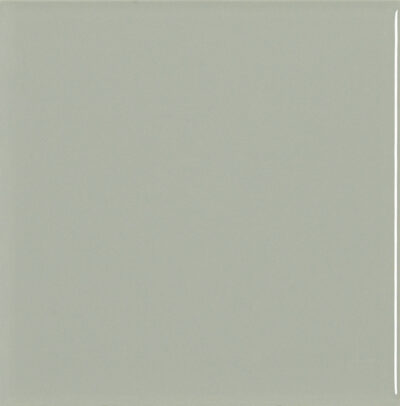 Sal Sage 15x15 Blank