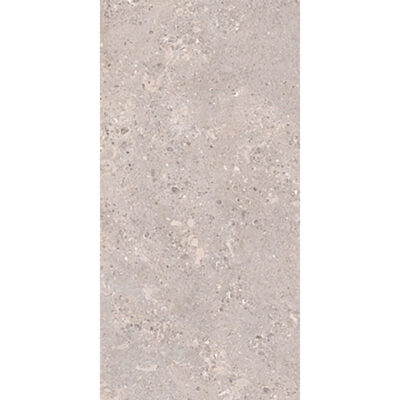 Tonda Argento 60x120 Mat