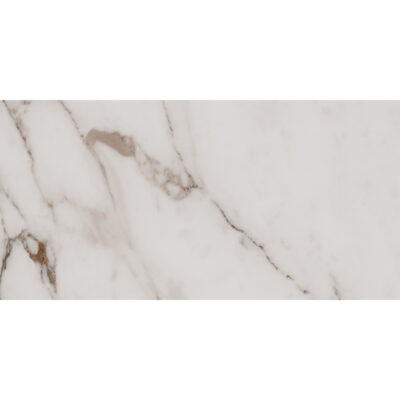 Ancona Breccia Capraia 30x60 Blank