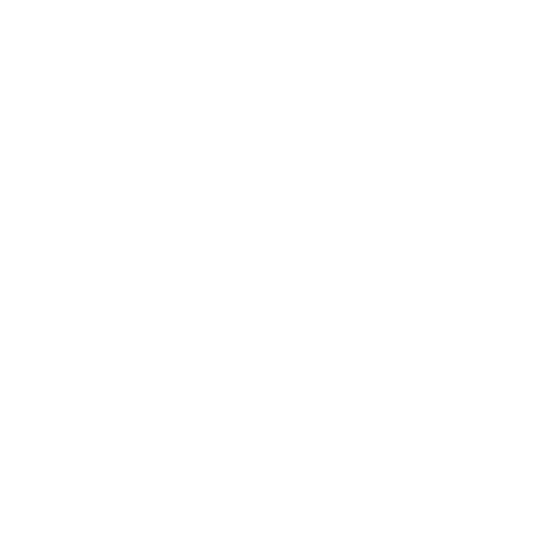 Dansani logo