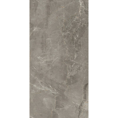 Salerno Argento 60x120 Blank