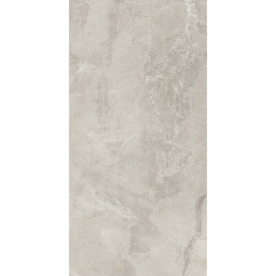 Salerno Grigio Luce 60x120 Blank